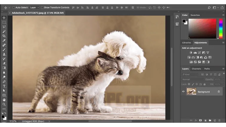 download photoshop free