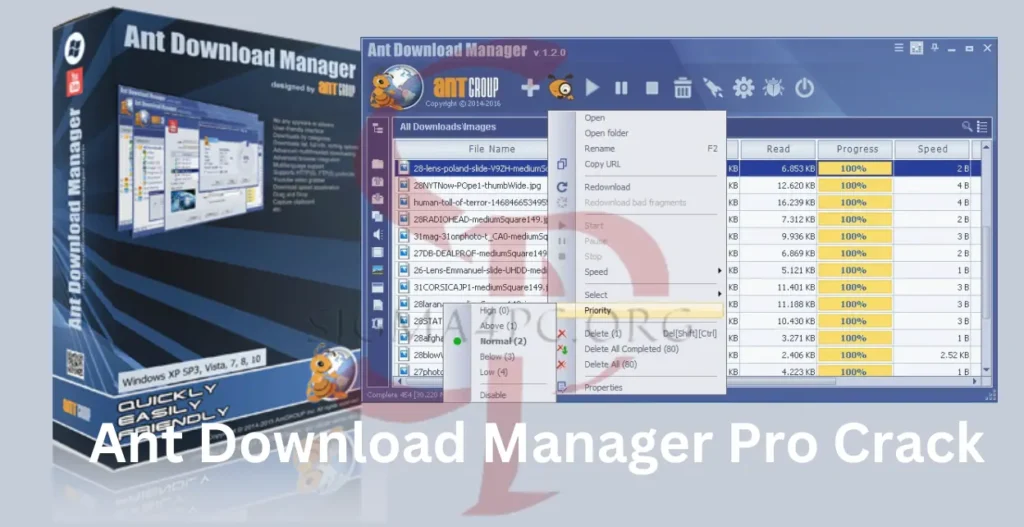 ant-download-manager-pro-crack