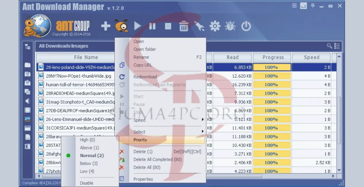 تحميل برنامج Ant Download Manager Pro 2.11.4 اخر اصدار مع التفعيل