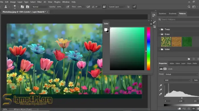 تحميل Photoshop Portable الإصدار الأخير النسخة المحمولة المفعلة